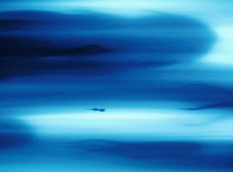 1680397941660.gif