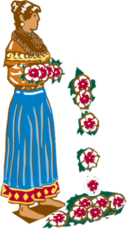 Nole.png