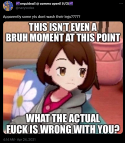 1680573660785.png