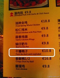 Duck1.jpg