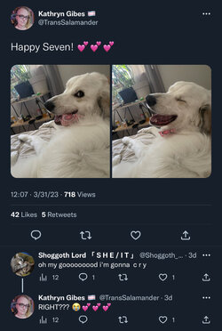 34A4B78A-1719-49F8-9BE5-61C45403C8F3.jpeg