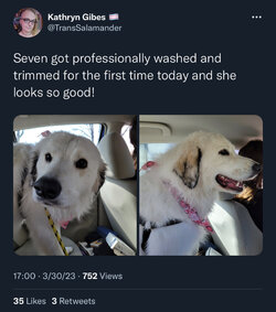 F3648962-FB1C-44BB-B02C-2FB767ED6D93.jpeg