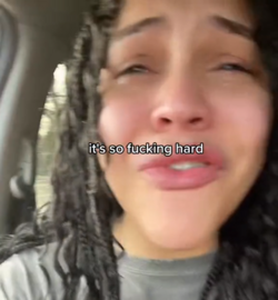 dumbtranny2.png