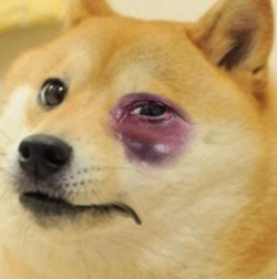 1680648418794.png