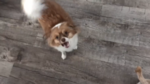 C0A4D459-D992-4047-9C67-D64D12F4EBD1.png
