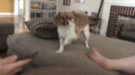 B059F8B5-8C51-4BD7-8859-AD03765242D5.png