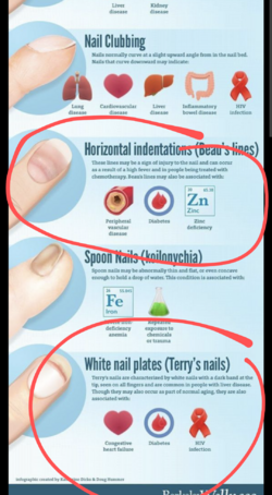 Screenshot_20230404-234324.png