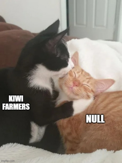 1680692056562.png