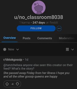 Reddit 2 Internet.jpg
