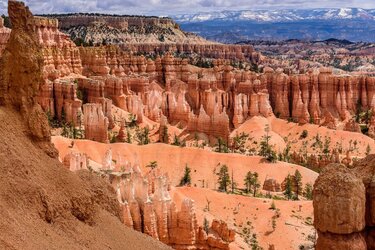 Bryce-3.jpg
