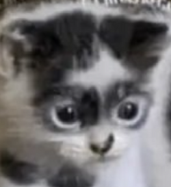 littleguy.png