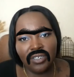 333.png