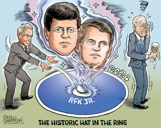 the_kennedy_mystique-RFK-Jr-2024-768x610.jpg