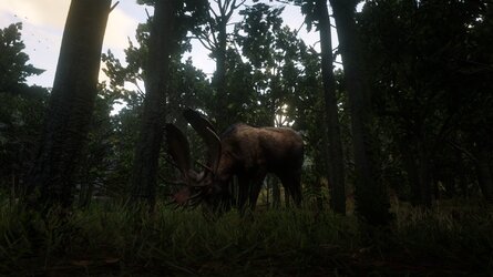 screenshot.jpg