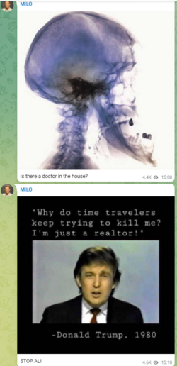1680806432304.png