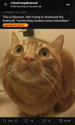 Screenshot_20230406-164142.png