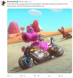 birdo.jpg