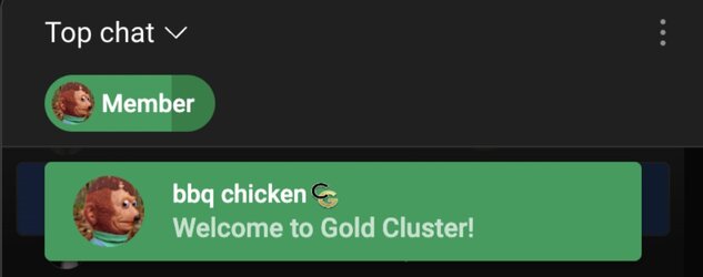 Screenshot_20230406_151222_Discord.jpg