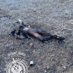 One of the ukrops that managed to get out.png
