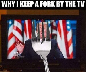 FB_IMG_1597407546932.jpg
