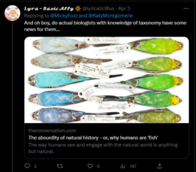 KM am a fish 2.PNG