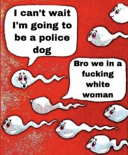 1680845324336.jpeg