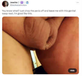1680892581796.png