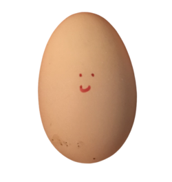 8E8E9657-EBFF-41D3-9DD4-45F133169D2C.png
