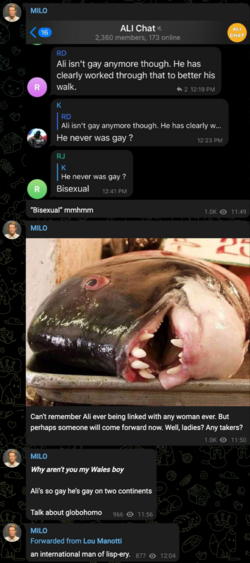 MILO-–-Telegram (3).png