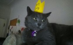 KINDLE_CAMERA_1396553748000.jpg
