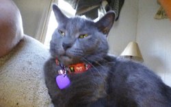 KINDLE_CAMERA_1407179579000.jpg