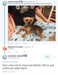 upload_2018-7-21_18-32-56.png