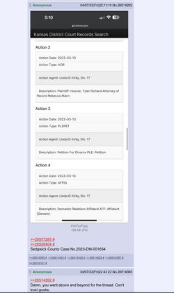 Kansas Court records.png