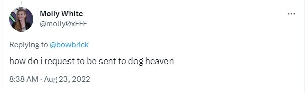molly2.jpg