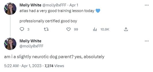 goodboy.jpg