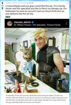 1681016269171.png