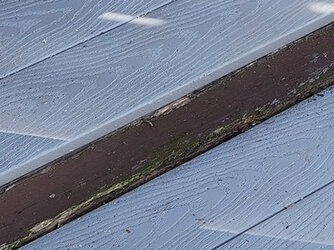 rotting boards.jpg