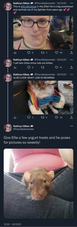 kevin alyssa visit tweet.png