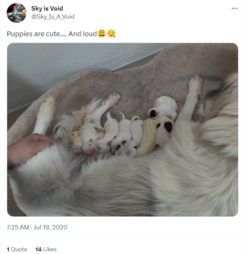incest puppies tweet.png