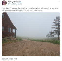 kevin tranch fog tweet.png