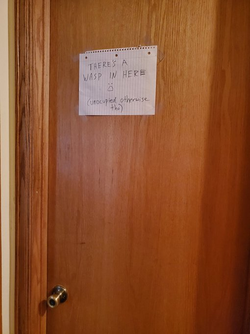 kevin wasp bathroom sign tweet pic 1.png
