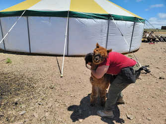 bonnie hugging alpaca.png