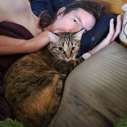 jen cat 2.png
