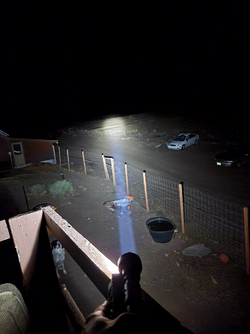 flashlight pic.png