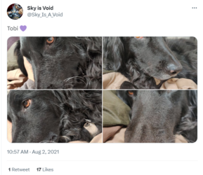 tobi tweet 1.png