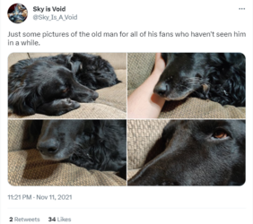 tobi tweet 2.png
