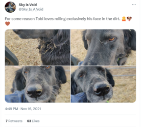 tobi tweet 3.png