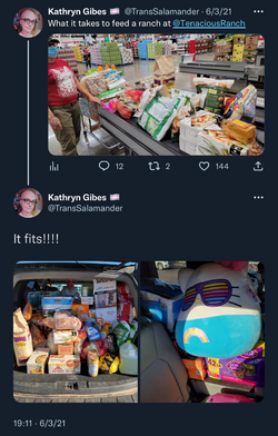 grocery shopping 2021 tweet.png