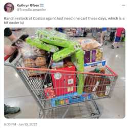 grocery shopping jun 2022 tweet.png