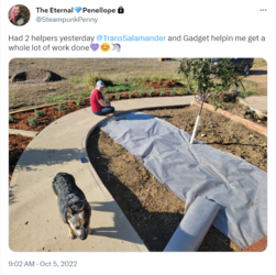 kevin actually outside tweet.png